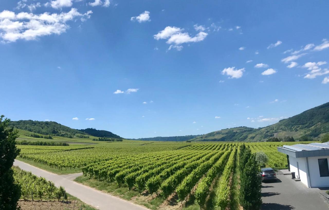 Weingut Gehlen-Cornelius Otel Brauneberg Dış mekan fotoğraf