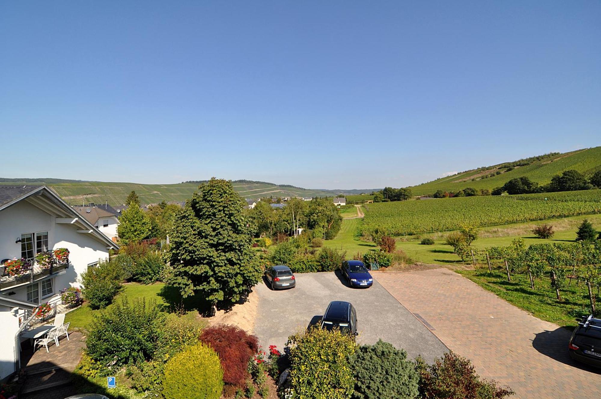 Weingut Gehlen-Cornelius Otel Brauneberg Dış mekan fotoğraf